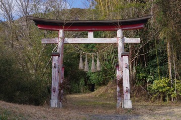 IMGP3356