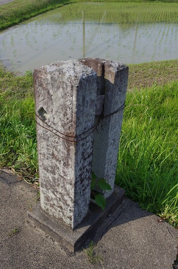 s-IMGP6633