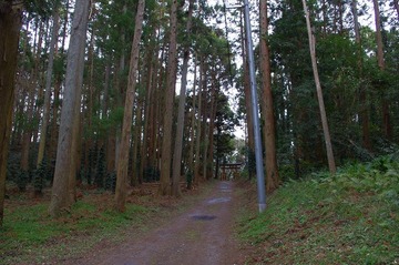 IMGP3254
