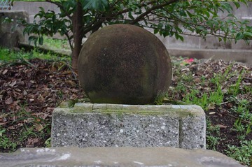 s-IMGP5833