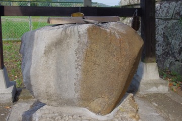 s-IMGP6569