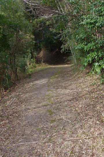 IMGP3362