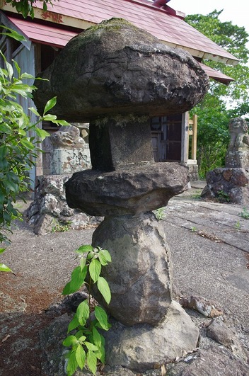 s-IMGP6579