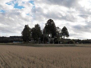 s100_0966