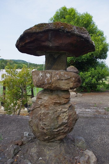 s-IMGP6581