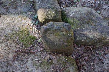 s-IMGP4813
