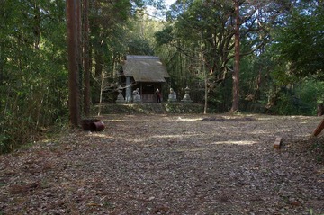 IMGP3372