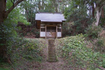 IMGP3317