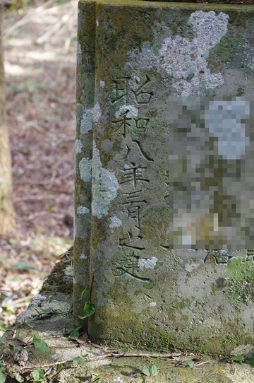 IMGP3396