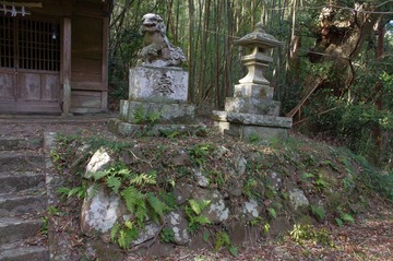 IMGP3406