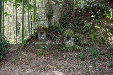 IMGP3402