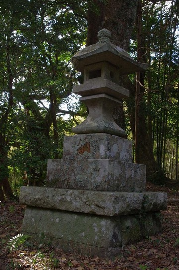 IMGP3391