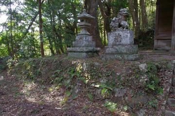 IMGP3407