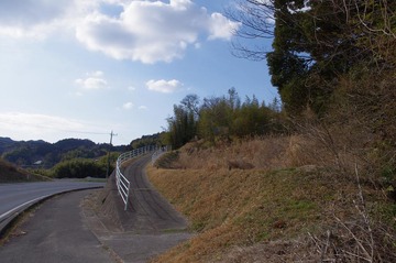 IMGP3351