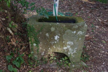 IMGP3377