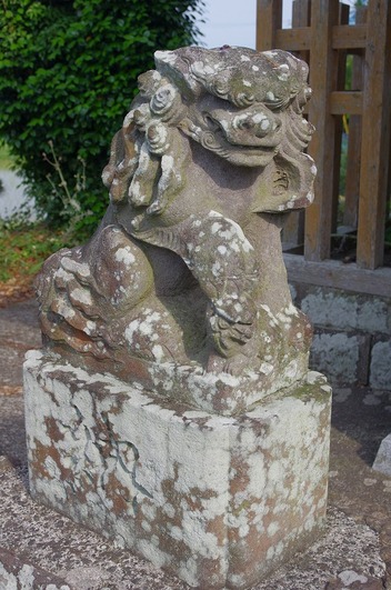 s-IMGP6590