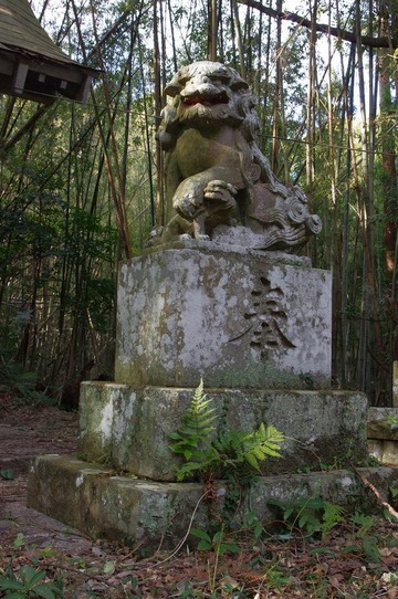 IMGP3390