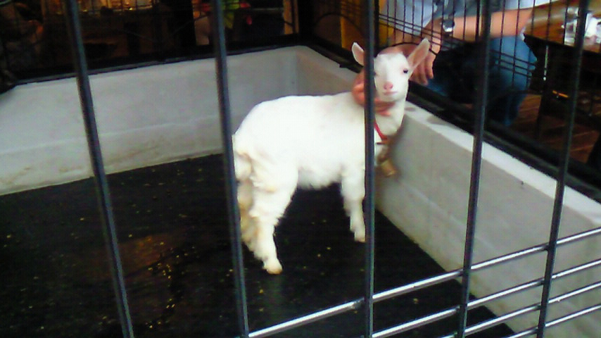 201005231655000 (2)