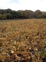 ��Ʀ10��27��