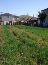 2014-04-12-10-39-27