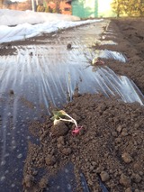 2015-03-27-17-28-49