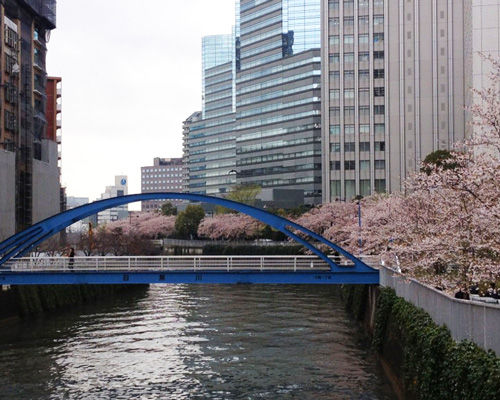 目黒川の桜 大崎編 Mars Submarine 目黒川の桜 大崎編 Mars Submarine