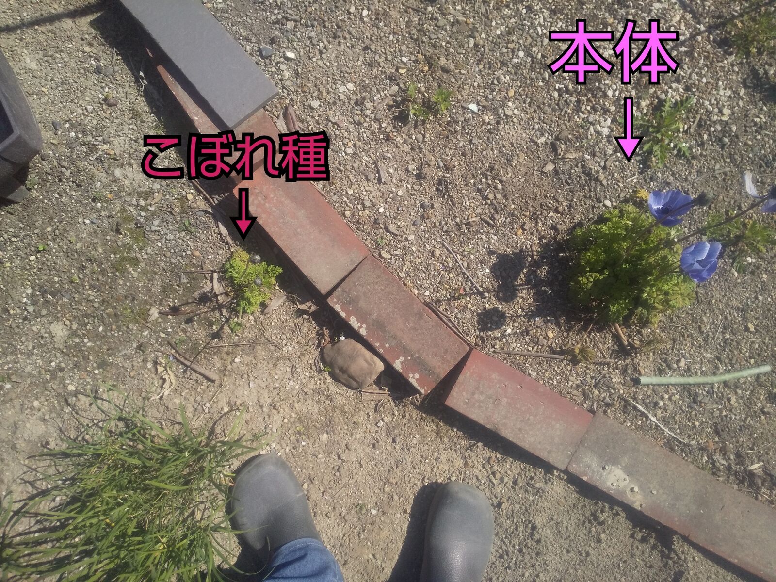 最終回は寂しいもんだ ストレスフリーになりたい 最終回は寂しいもんだ ストレスフリーになりたい