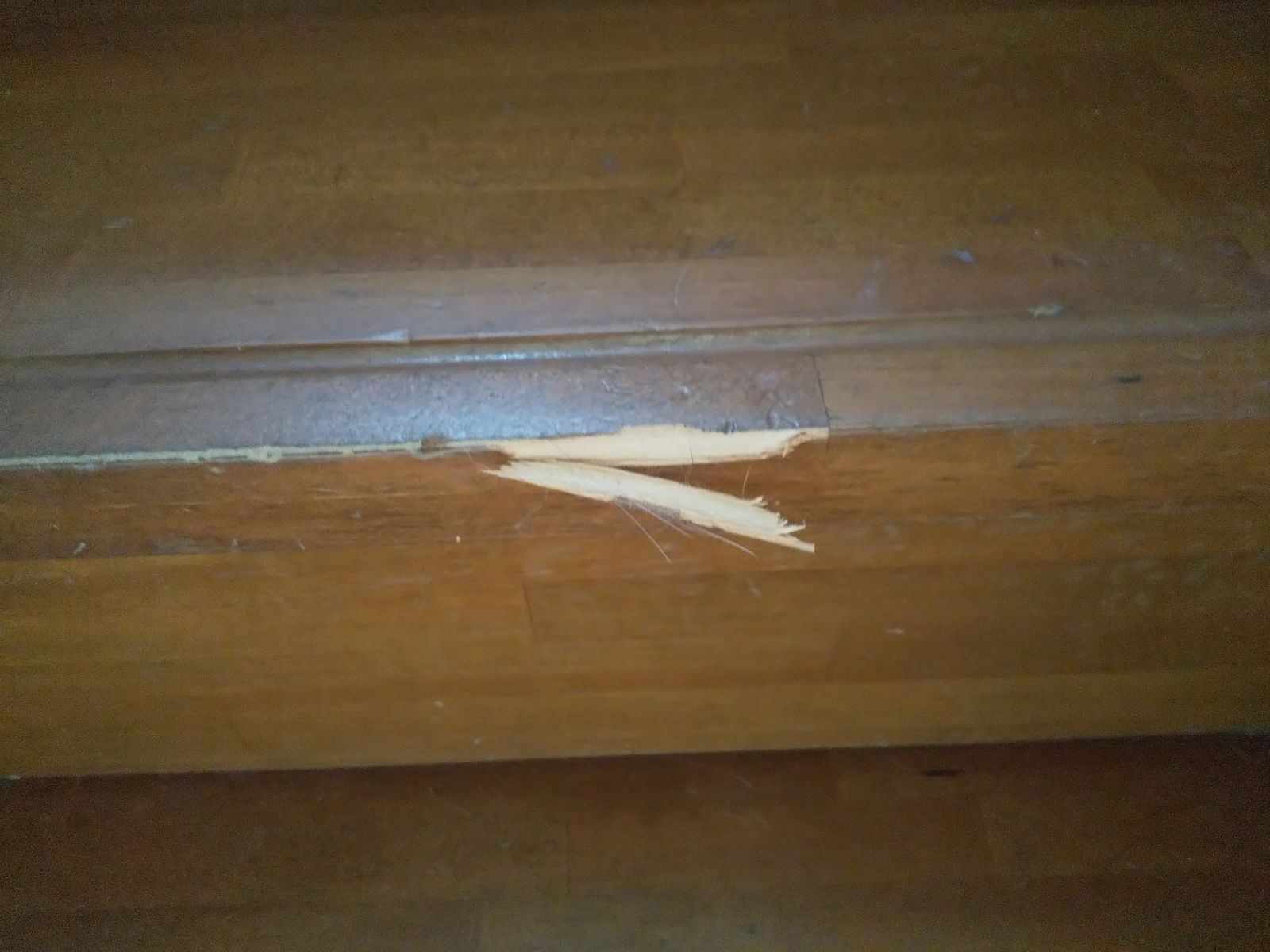2階の網戸が落下しました ストレスフリーになりたい