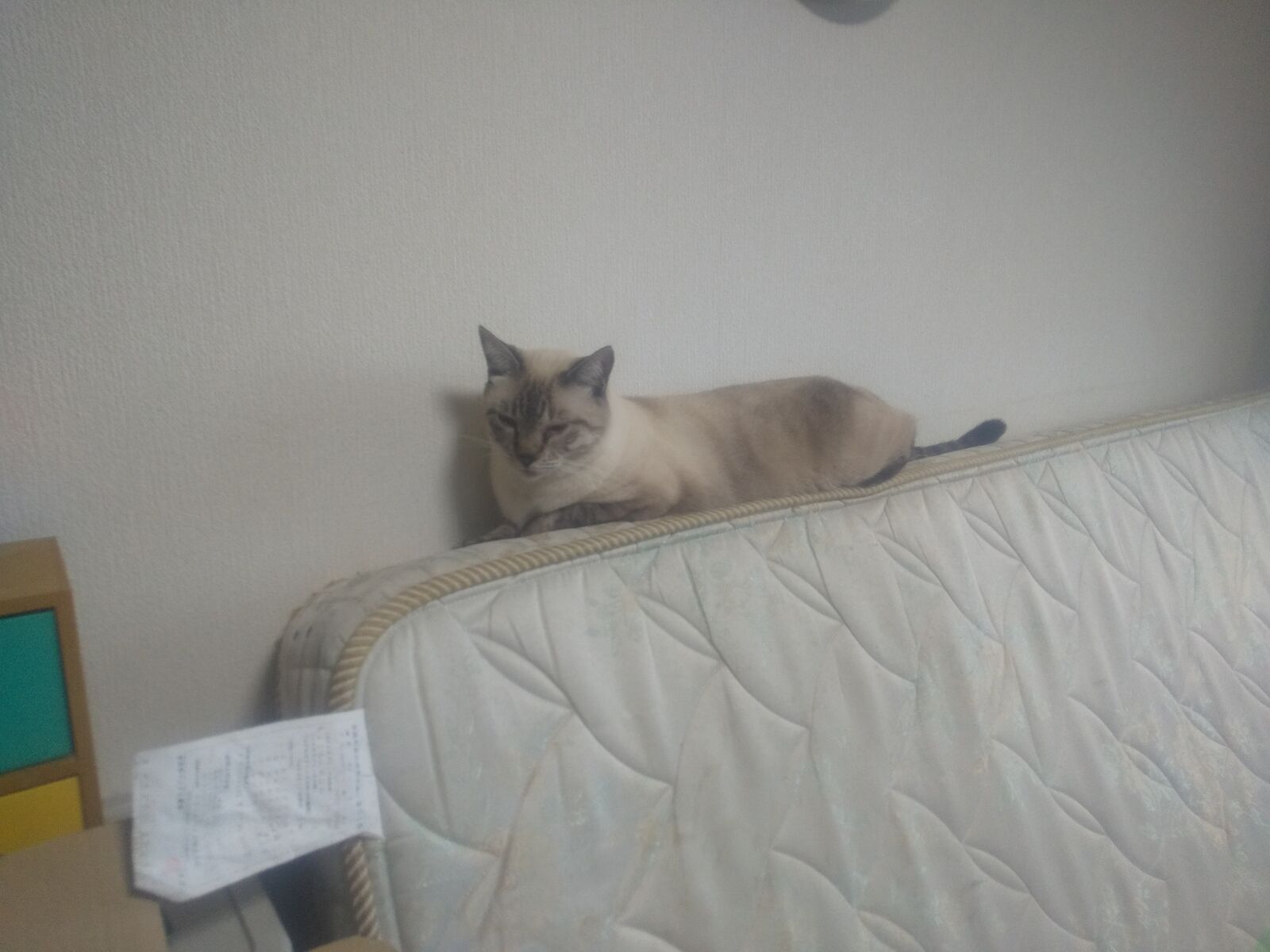 やっと長男の部屋を片付けました : ストレスフリーになりたい