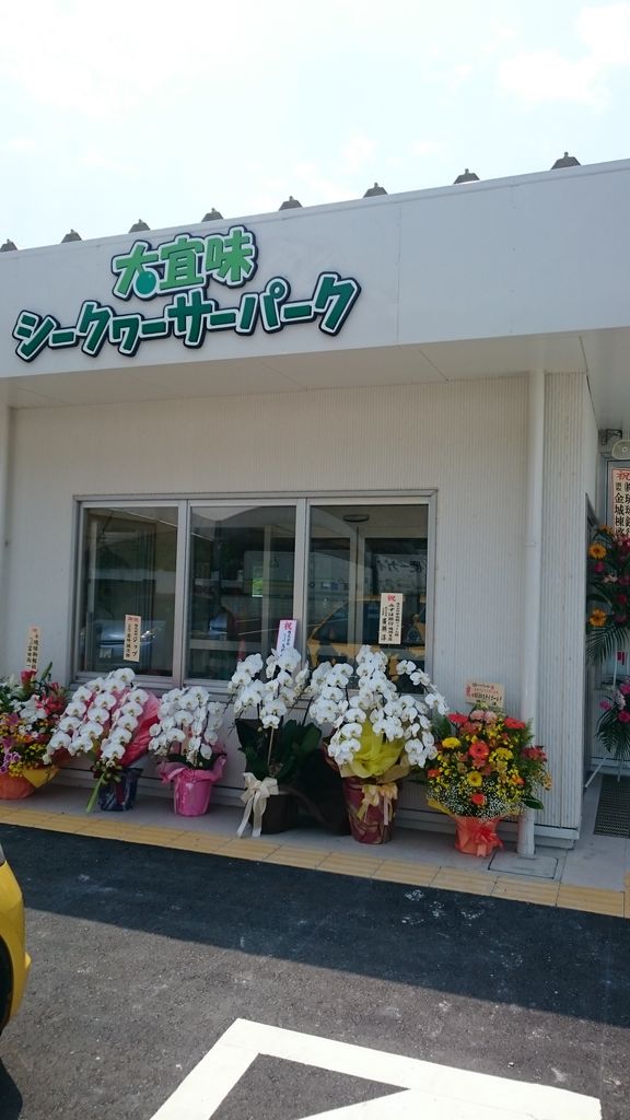 やんばるの新スポット 大宜味シークヮーサーパーク に行ってきた シュニンロゴス やんばるの新スポット 大宜味シークヮーサーパーク に行ってきた シュニンロゴス