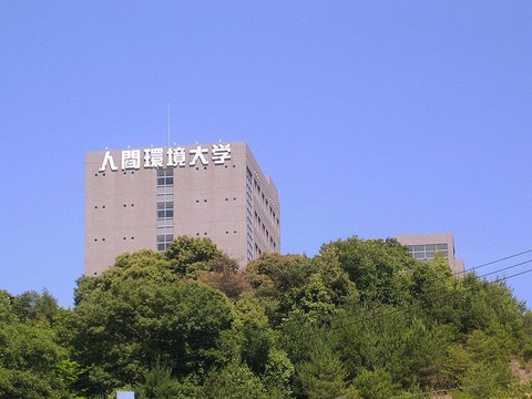 750_20466