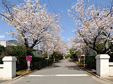 熊本高校