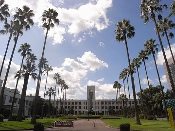 大阪市立大学