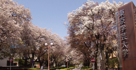 kouenkai_slide2015_05