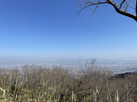 IMG_8388