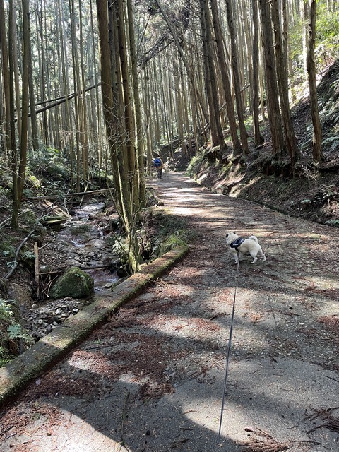 槇尾山3