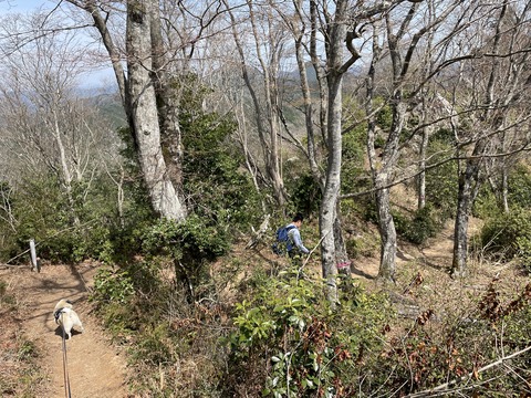 kanayama34