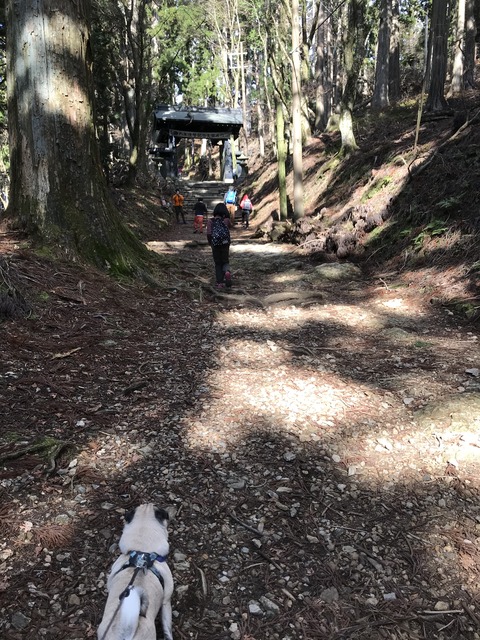 写真 2020-11-29 12 42 16