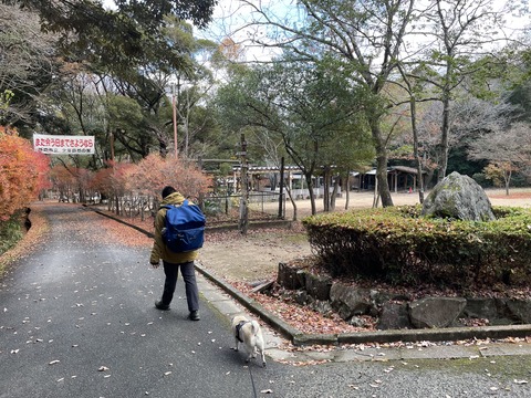 fujinoki27