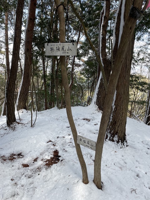 槇尾山22