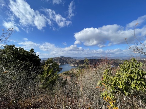 fujinoki16