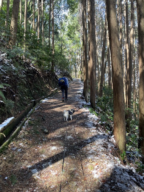 槇尾山5