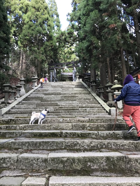 写真 2020-11-29 13 24 16