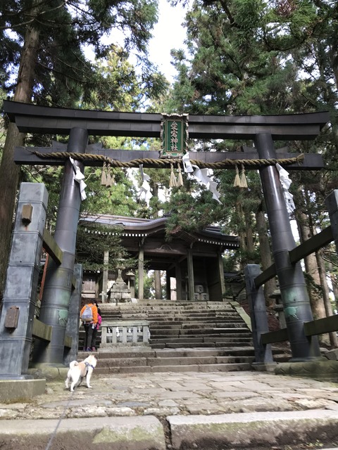 写真 2020-11-29 13 24 54