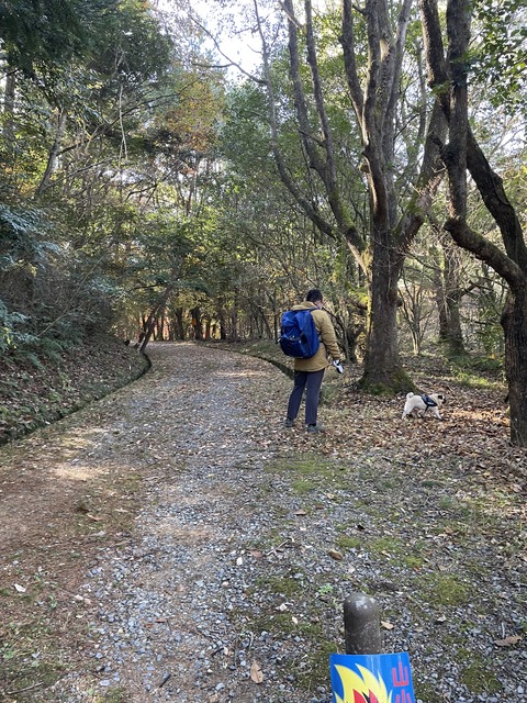 fujinoki2