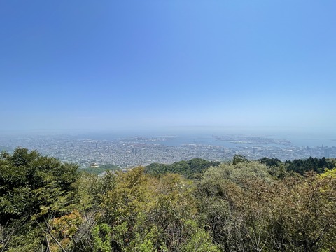 26kikuseidai2