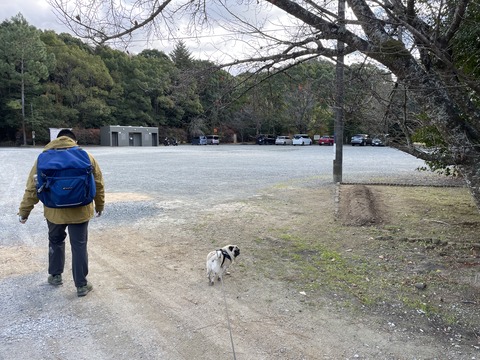 fujinoki26
