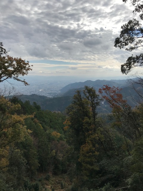 写真 2020-11-29 11 45 10