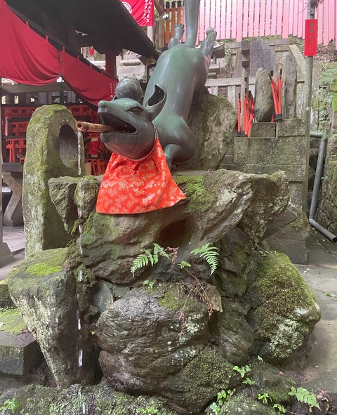 18稲荷山きつね