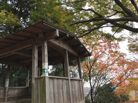 写真 2020-11-29 11 19 44